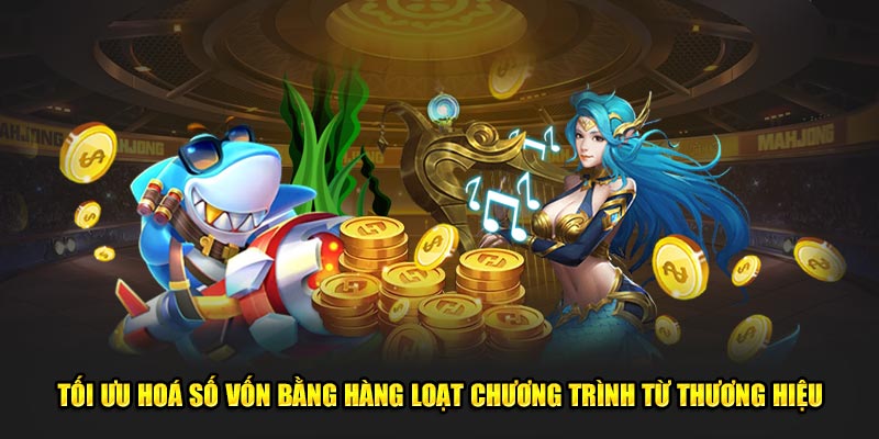Tối ưu hoá số vốn bằng hàng loạt chương trình từ thương hiệu
