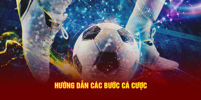 Hướng dẫn các bước cá cược