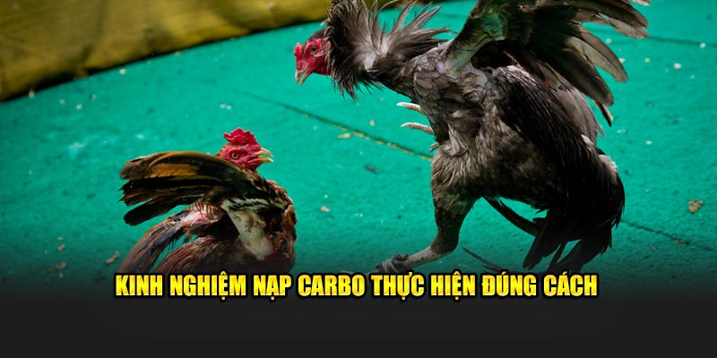 Kinh nghiệm nạp carbo thực hiện đúng cách