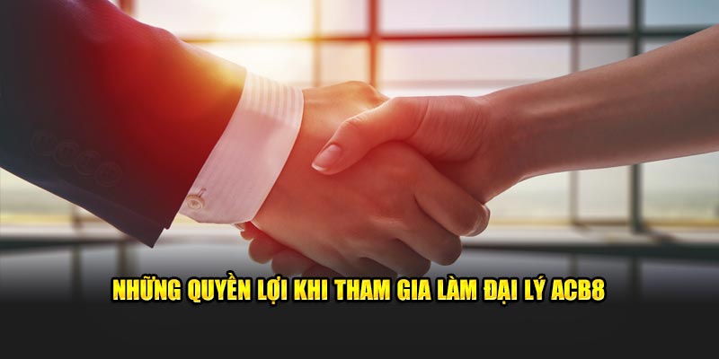 Những quyền lợi khi tham gia làm đại lý ABC8