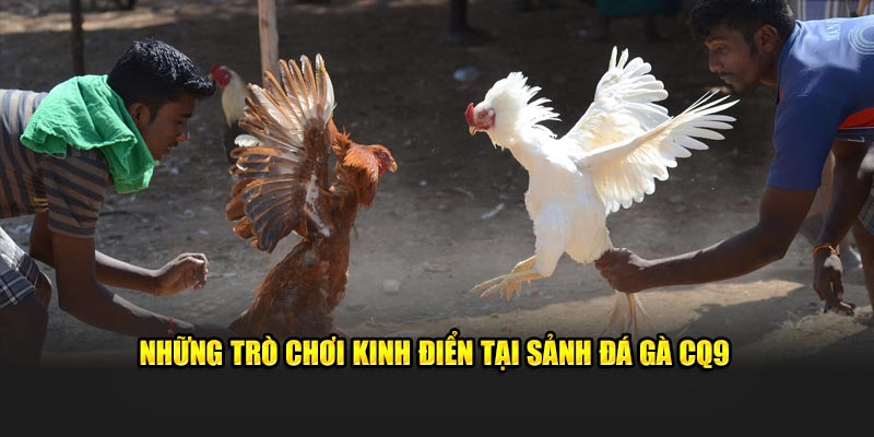 Những trò chơi kinh điển tại sảnh đá gà CQ9
