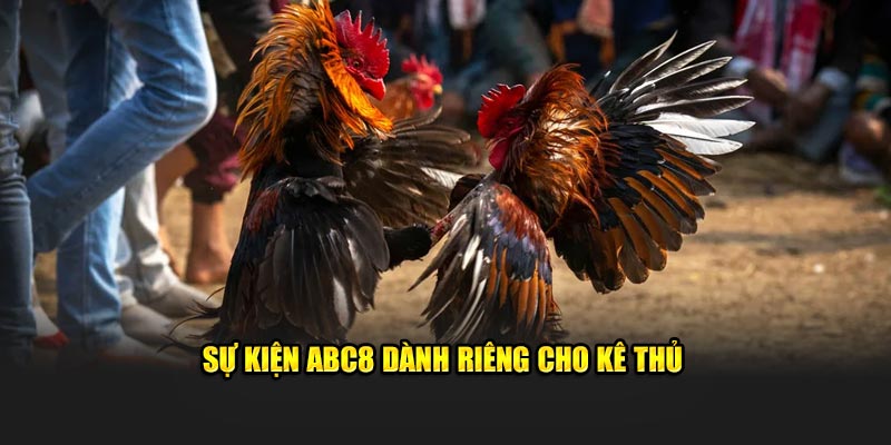 Sự kiện ABC8 dành riêng cho kê thủ